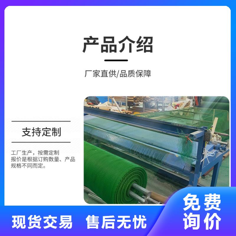 三維植被網(wǎng)-鋼塑土工格柵同行低價