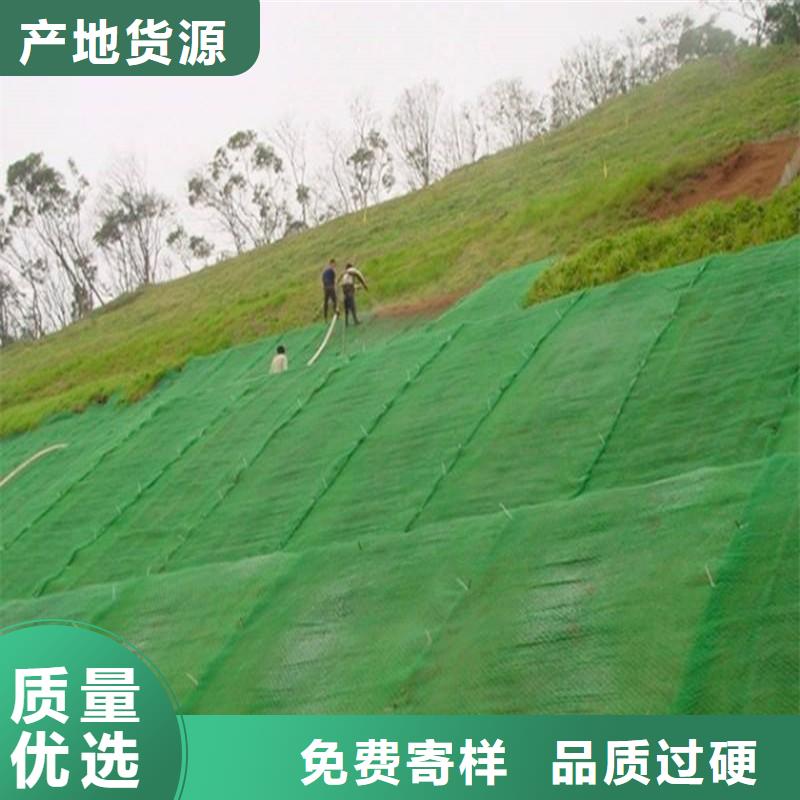 三維植被網_無紡布注重細節