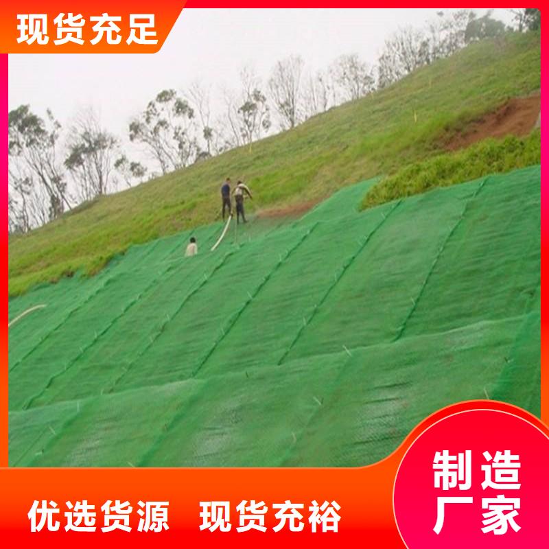 【三维植被网】防水土工布一对一为您服务