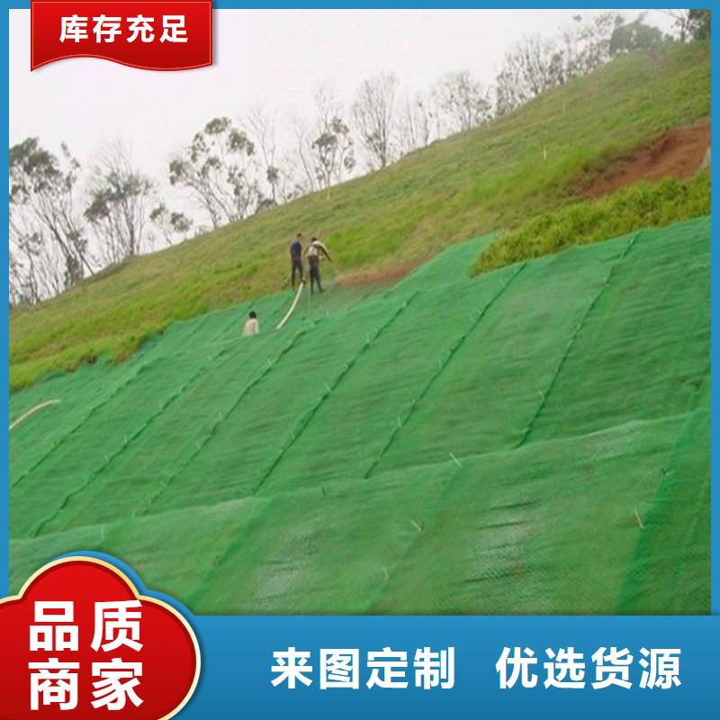 三維植被網(wǎng)_無紡布注重細(xì)節(jié)