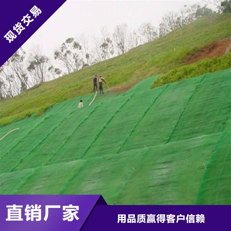 三維植被網(wǎng)防滲膜來(lái)圖定制