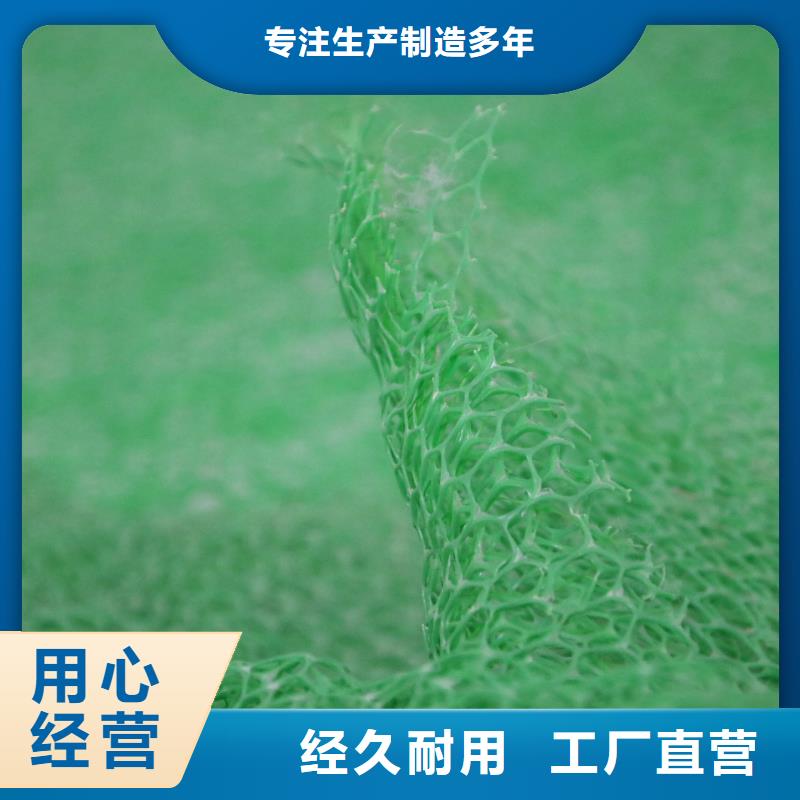 三維植被網-玻纖土工格柵品質信得過