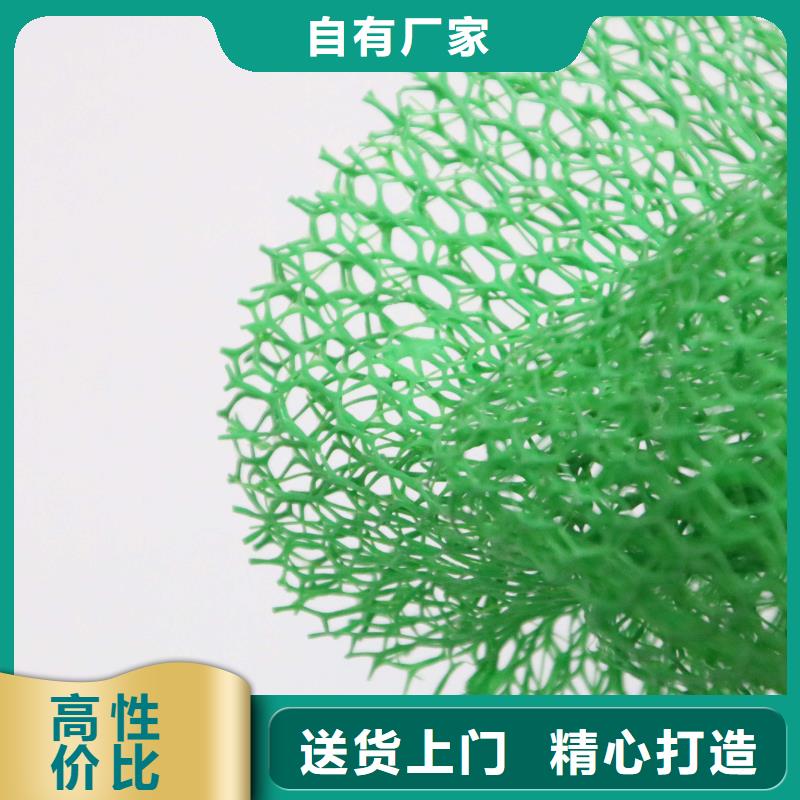 20252025邊坡防護三維植被網生產廠家-現貨供應