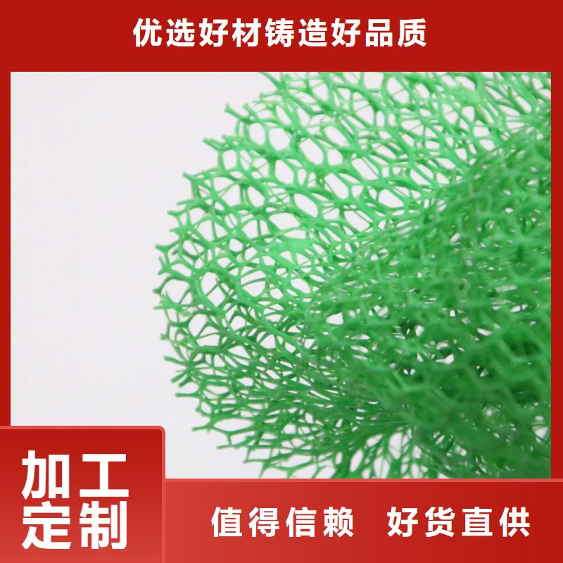 三維植被網塑料土工濾網研發生產銷售