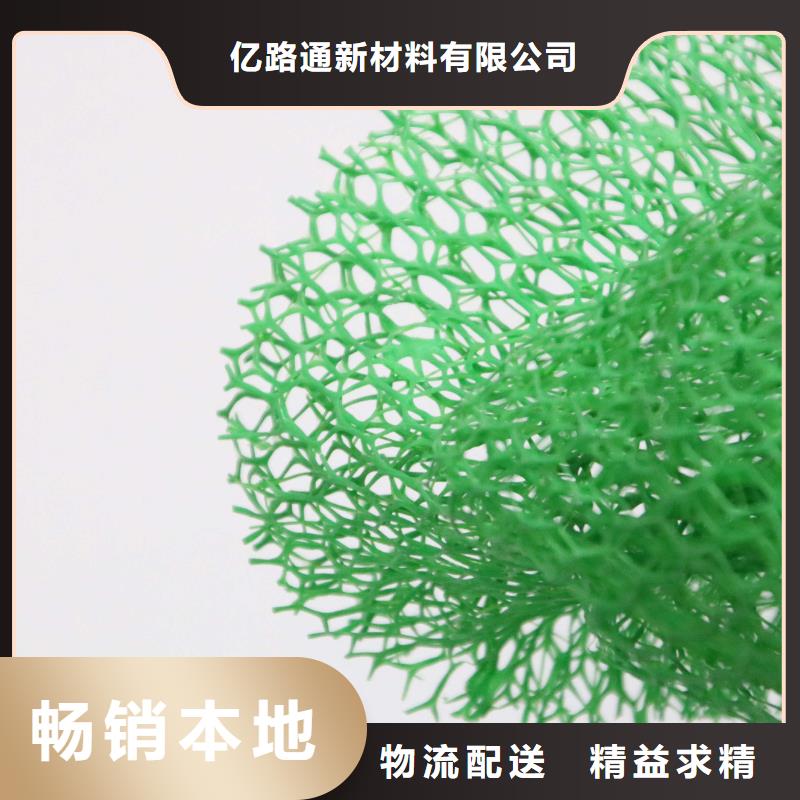 20252025邊坡防護(hù)三維植被網(wǎng)生產(chǎn)廠家-現(xiàn)貨供應(yīng)