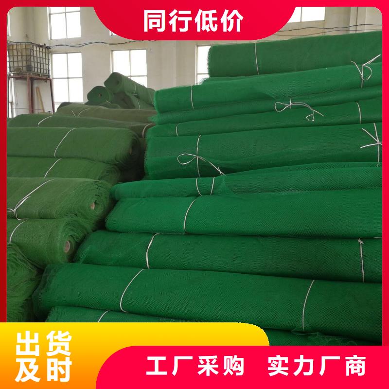 三維植被網(wǎng)滌綸土工格柵無中間商廠家直銷