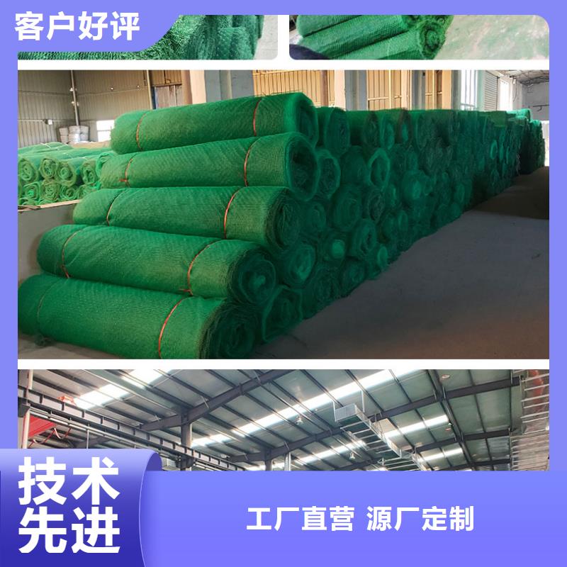 三維植被網(wǎng)三維土工網(wǎng)墊現(xiàn)貨供應(yīng)