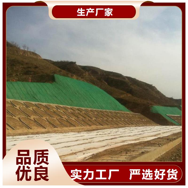 【三维植被网】-反滤土工布品质服务诚信为本-可发货到海口