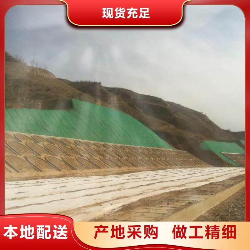 塑料三維植被網價格/2025年報價