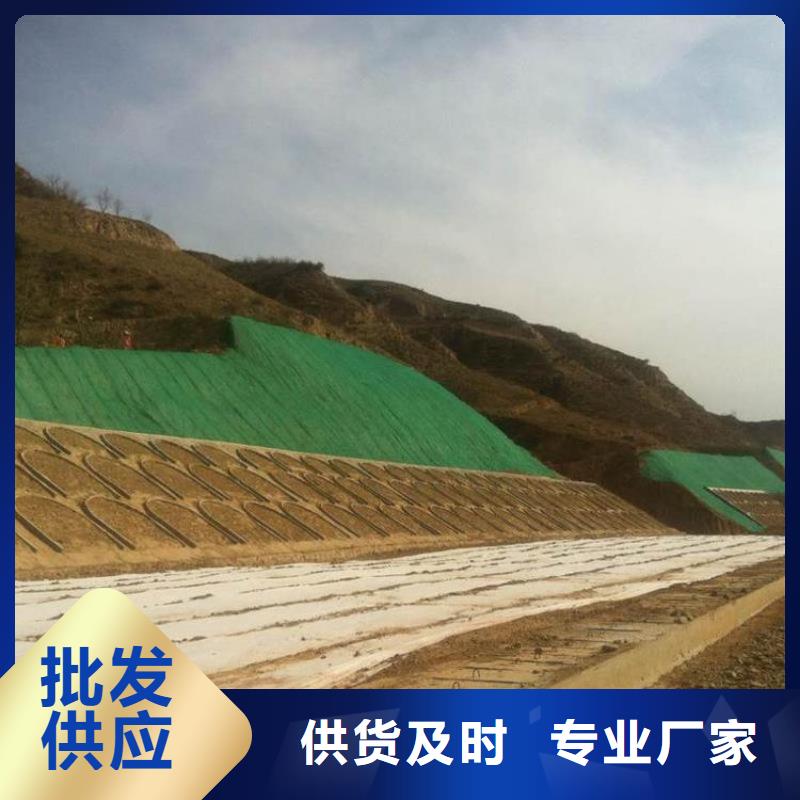 三維植被網多少錢一平產品規格有哪些