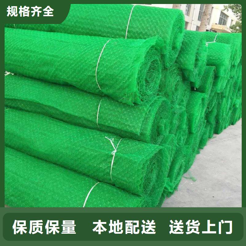 三維植被網(wǎng)凸結(jié)點鋼塑土工格柵貨源直供