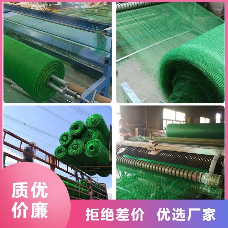 20252025塑料三維植被網生產廠家-現貨供應