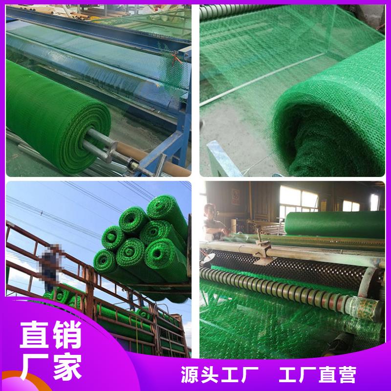 三維植被網塑料土工濾網研發生產銷售