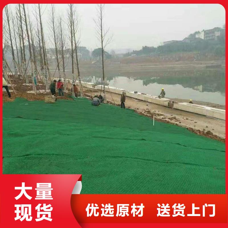 三維植被網(wǎng)三維土工網(wǎng)墊現(xiàn)貨供應(yīng)