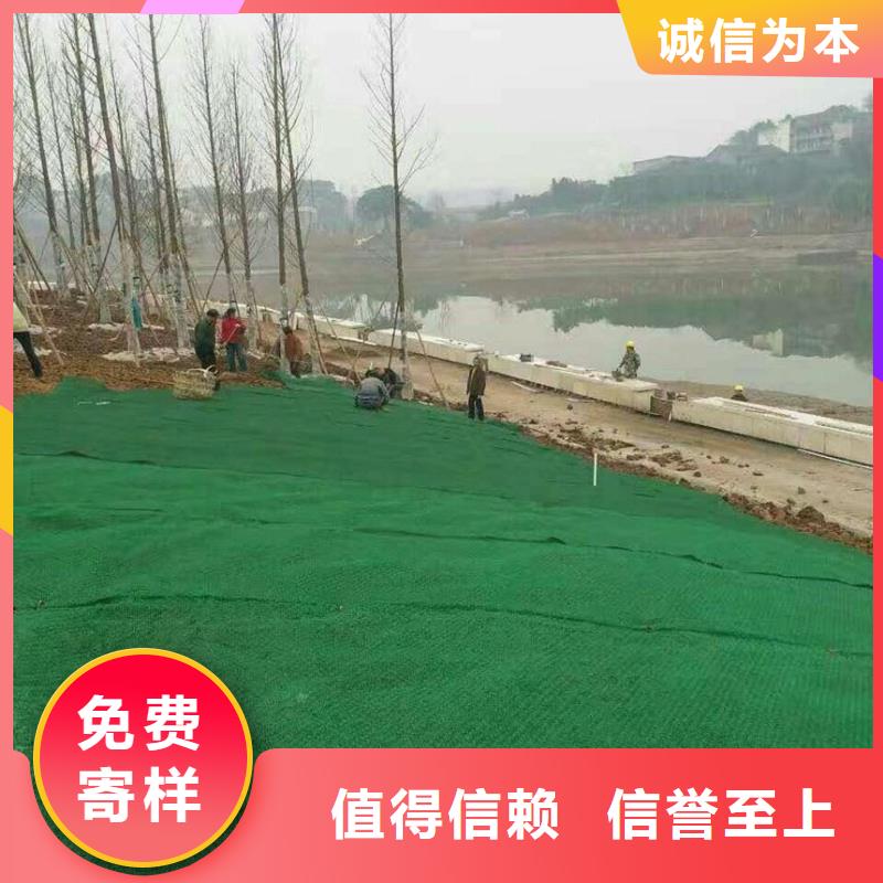 三維植被網三維土工網墊用心服務