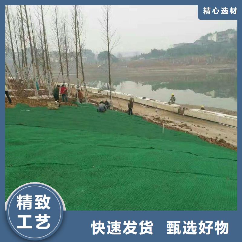 HDPE三維植被網廠家直銷/質優價廉