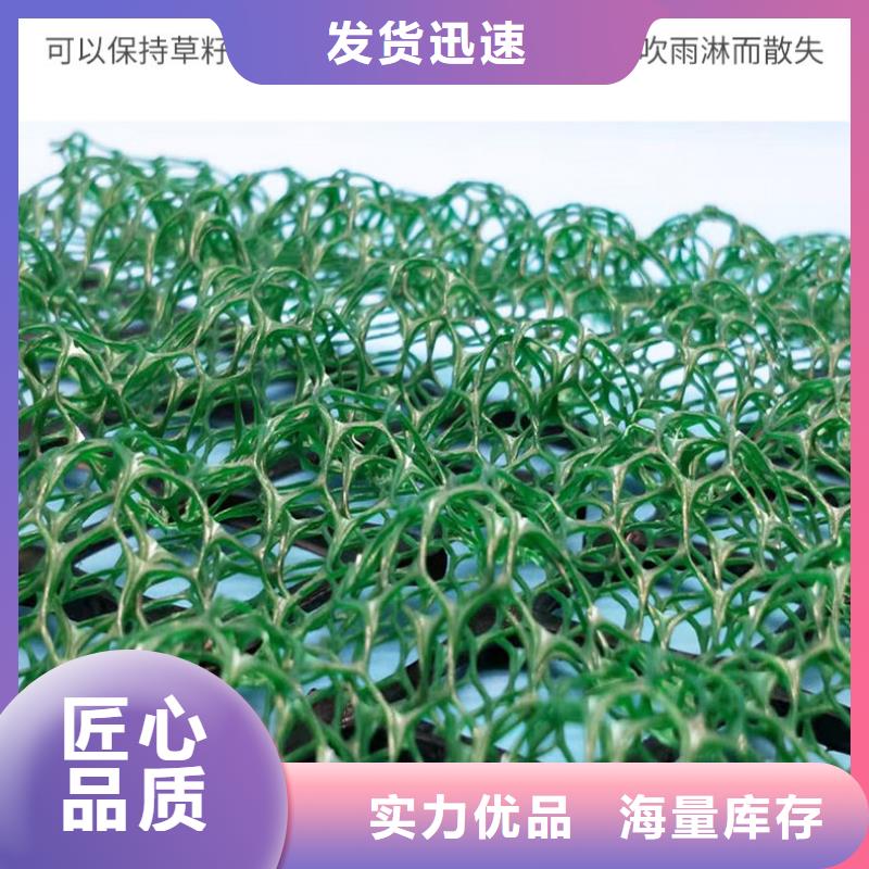 三維植被網_無紡布注重細節