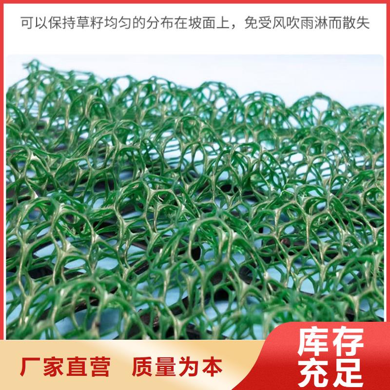 三維植被網(wǎng)滌綸土工格柵無中間商廠家直銷