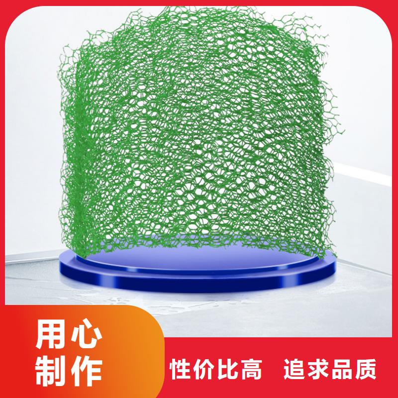 三維植被網_復合土工膜廠家直銷售后完善
