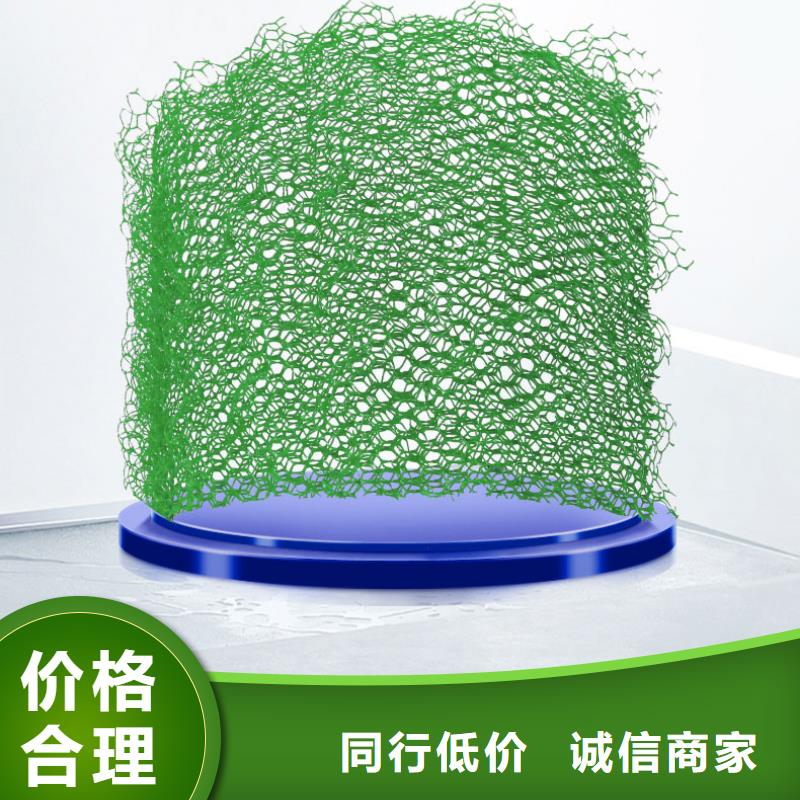 三維植被網(wǎng)-鋼塑土工格柵同行低價