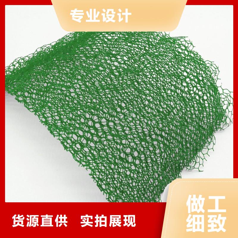 三維植被網-鋼塑土工格柵同行低價