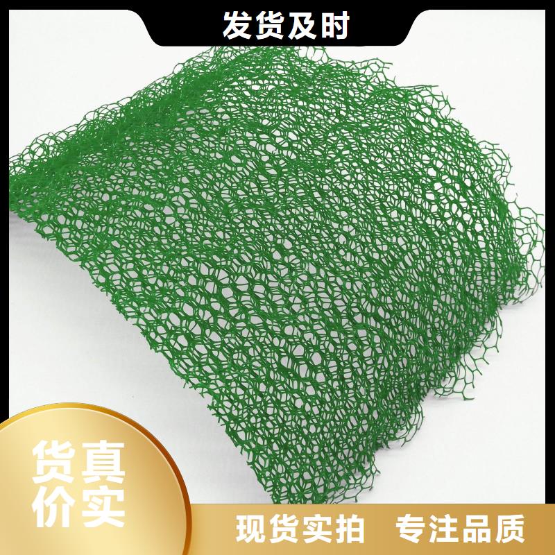 三維植被網聚乙烯土工膜敢與同行比質量