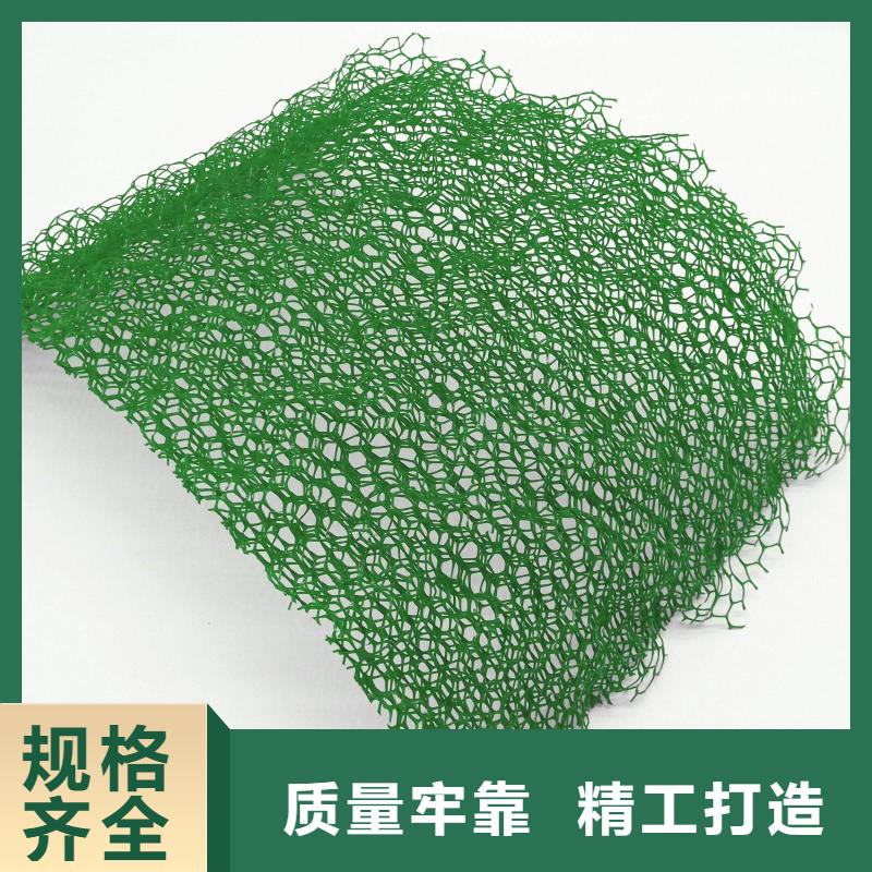 三維植被網-玻纖土工格柵品質信得過