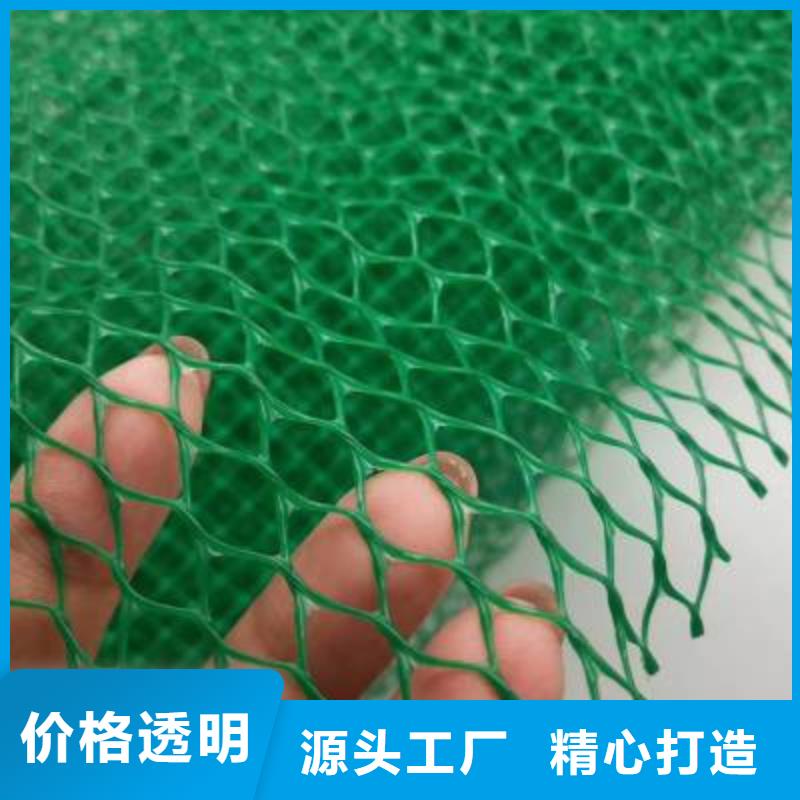 三維植被網三維土工網墊用心服務