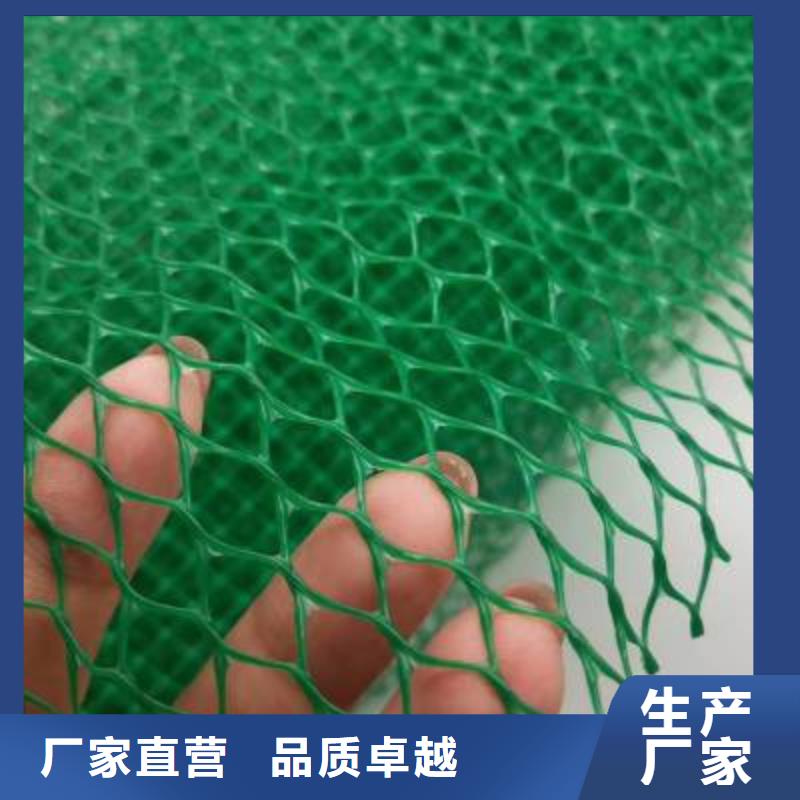 塑料三維植被網價格/2025年報價