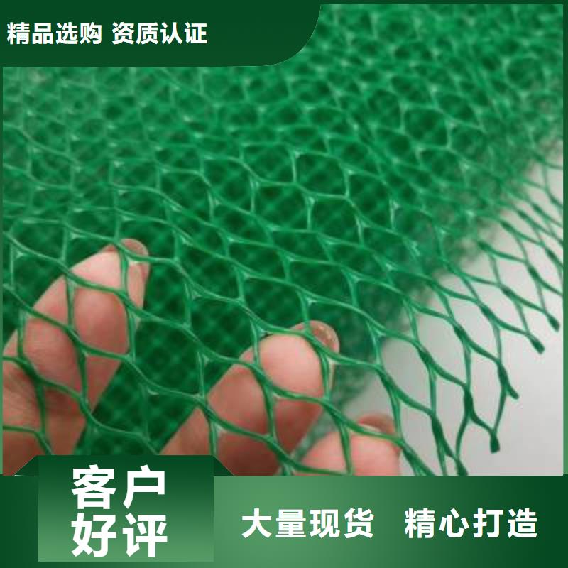 三維植被網-玻纖土工格柵品質信得過
