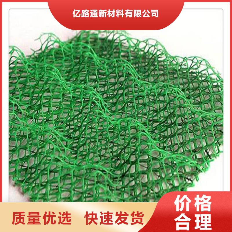 三維植被網(wǎng)三維土工網(wǎng)墊嚴(yán)謹(jǐn)工藝