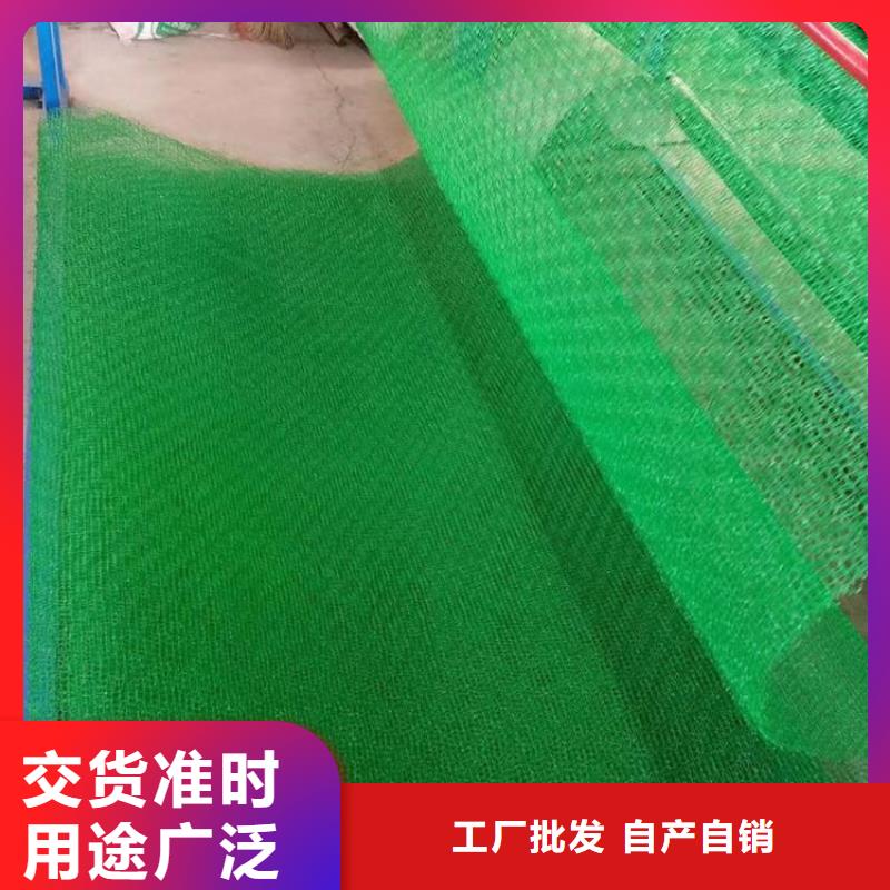 【三维植被网】防水土工布一对一为您服务