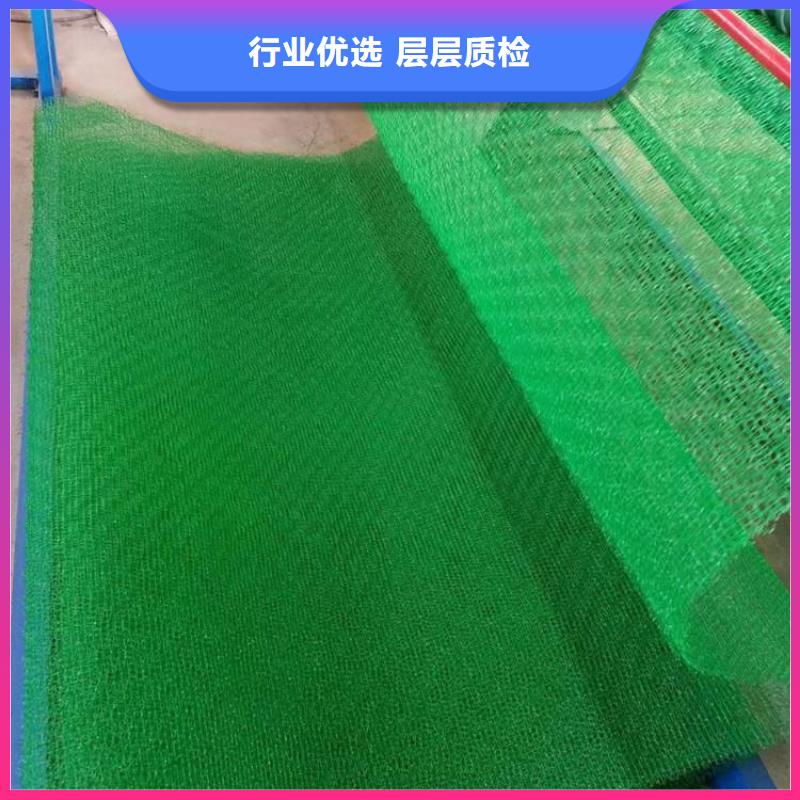 三維植被網(wǎng)凸結(jié)點鋼塑土工格柵貨源直供