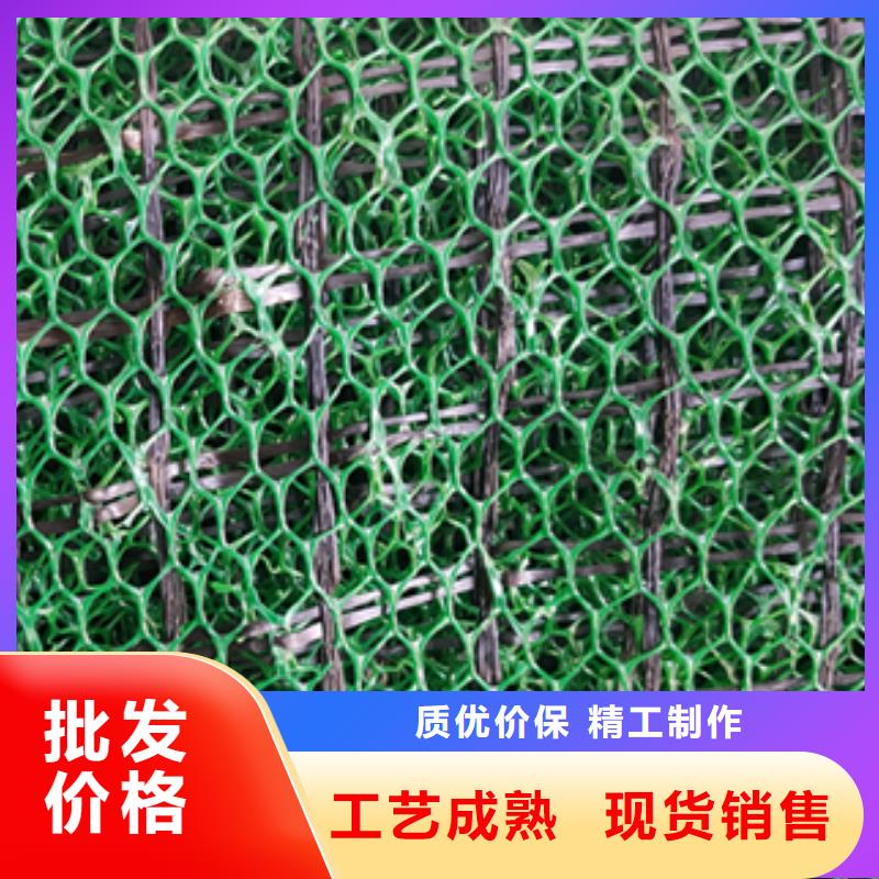 【三维植被网】-反滤土工布品质服务诚信为本-可发货到海口