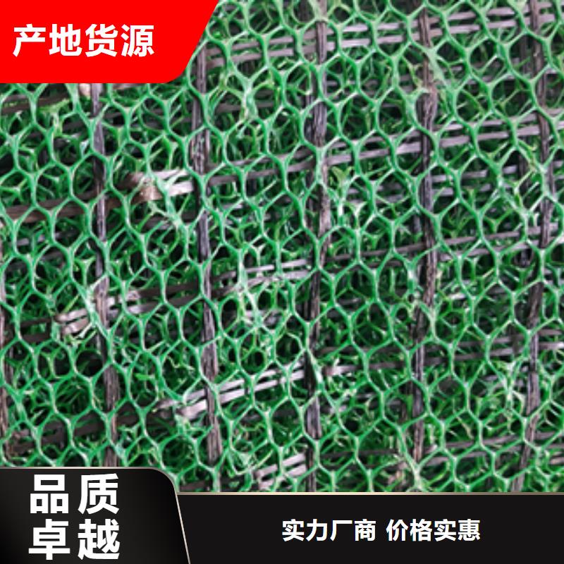 三維植被網(wǎng)凸結(jié)點鋼塑土工格柵貨源直供