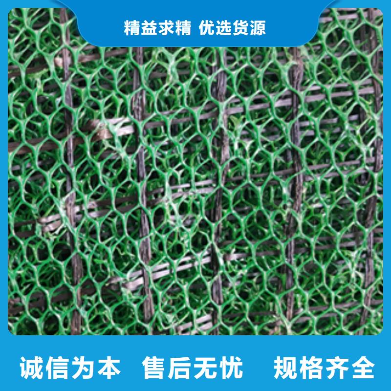 20252025固土綠化三維植被網規(guī)格型號齊全-可定制