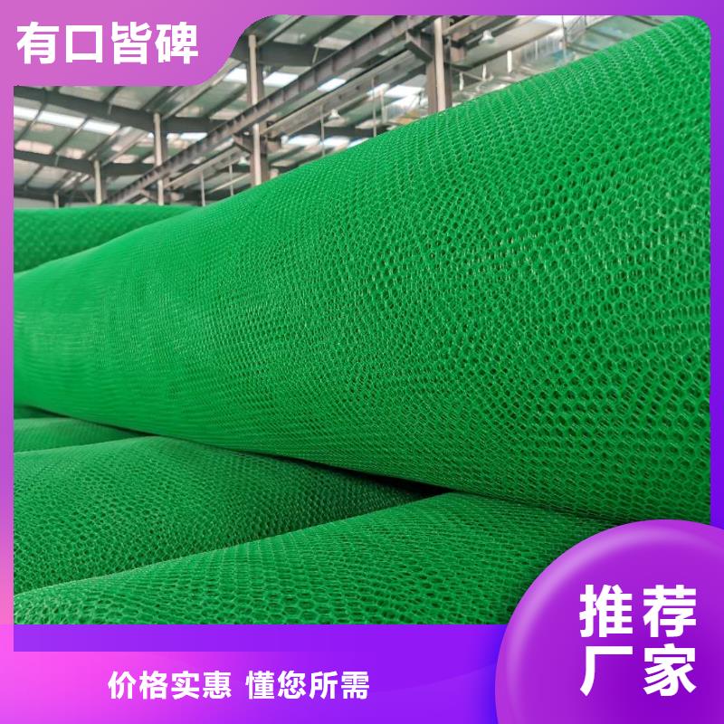 三維植被網_無紡布注重細節