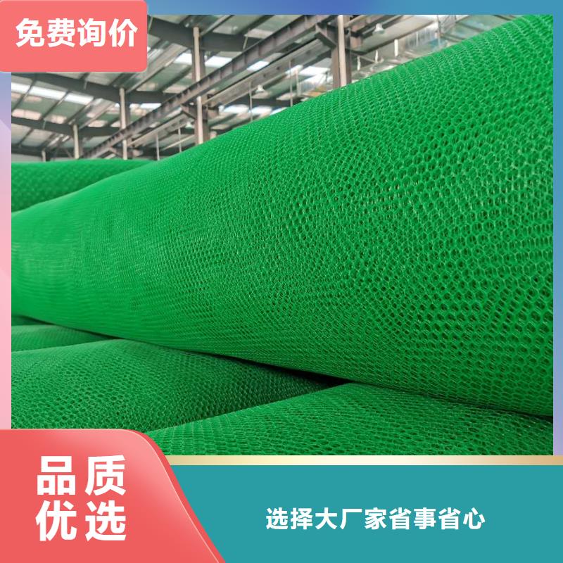三維植被網膨潤土防水毯N年大品牌
