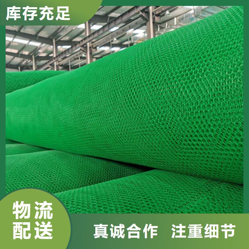 三維植被網-滌綸土工格柵品種全