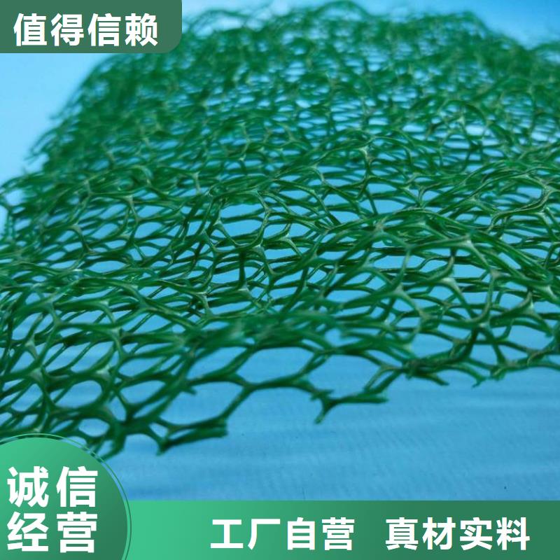 三维植被网三维土工网垫现货供应