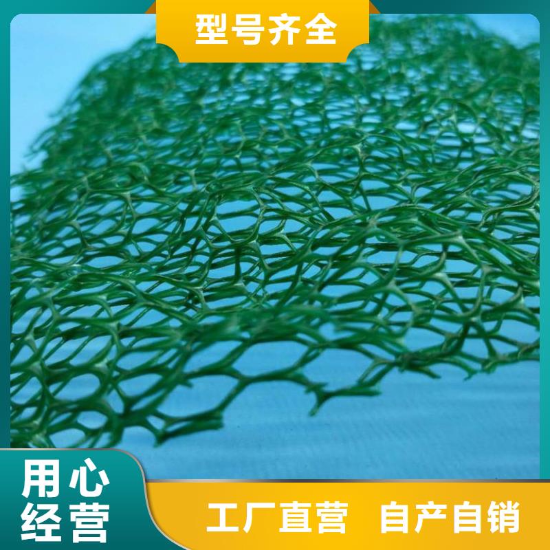 三維植被網雙向塑料土工格柵量少也做