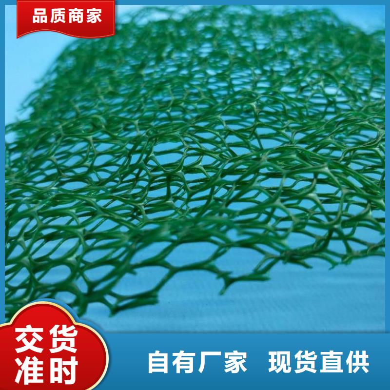 2025綠化三維植被網(wǎng)免費(fèi)寄樣提供檢測