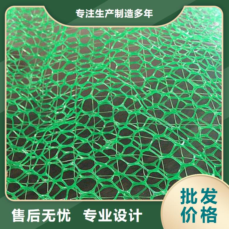 三維植被網膨潤土防水毯N年大品牌