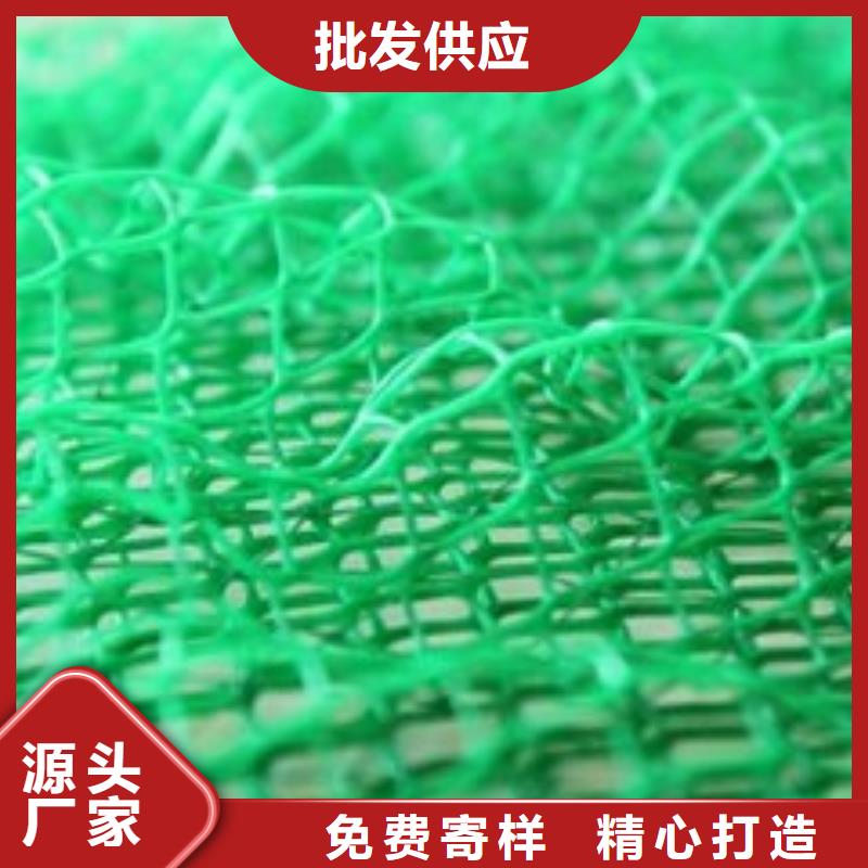 三維植被網(wǎng)_無紡布注重細(xì)節(jié)