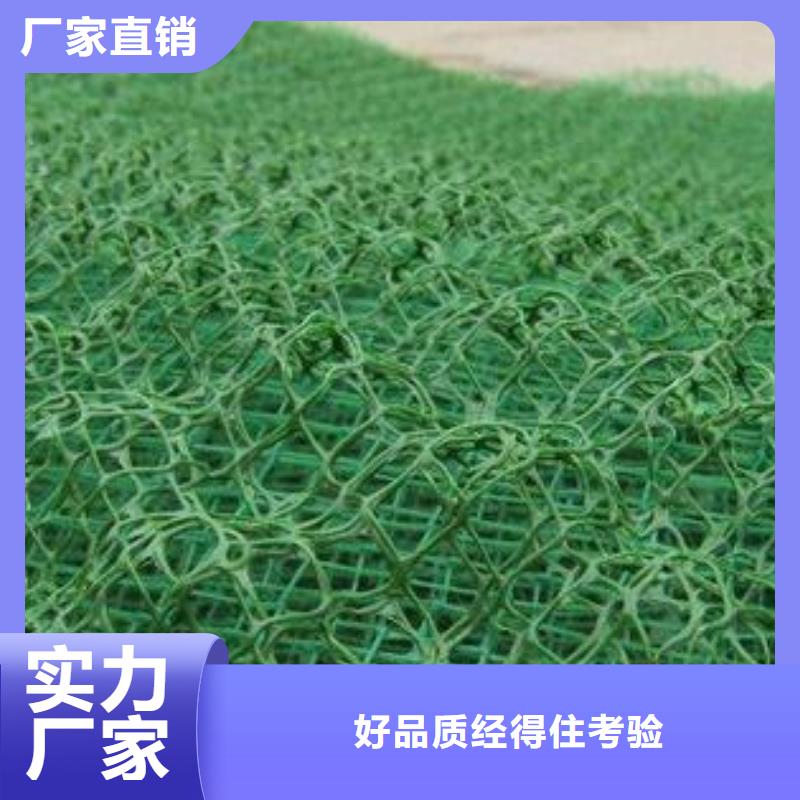 三維植被網_無紡布注重細節