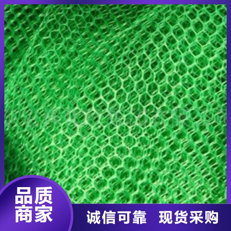 三維植被網_無紡布注重細節