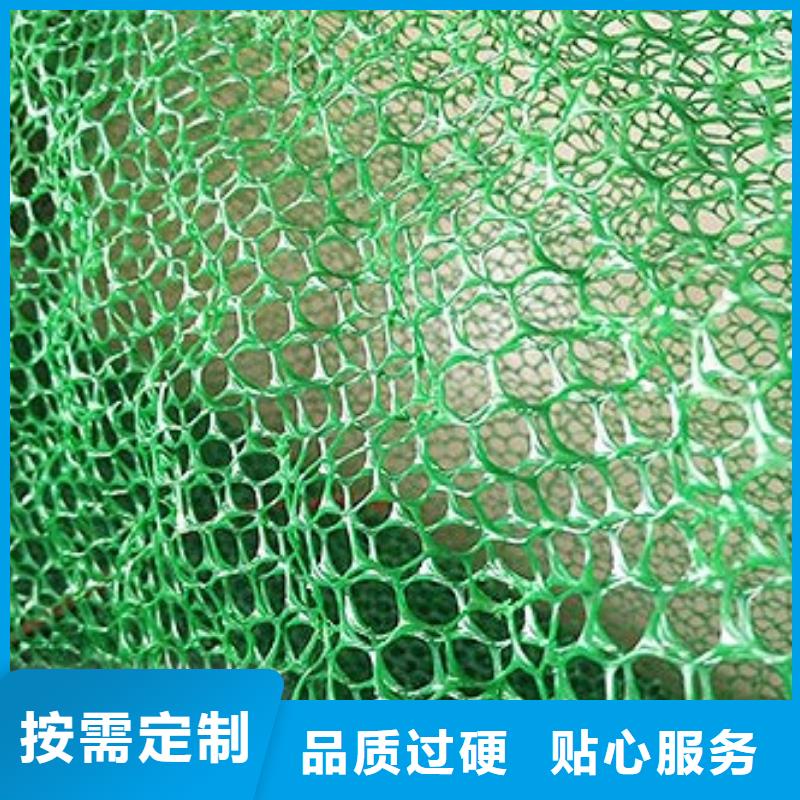 三維植被網-鋼塑土工格柵同行低價