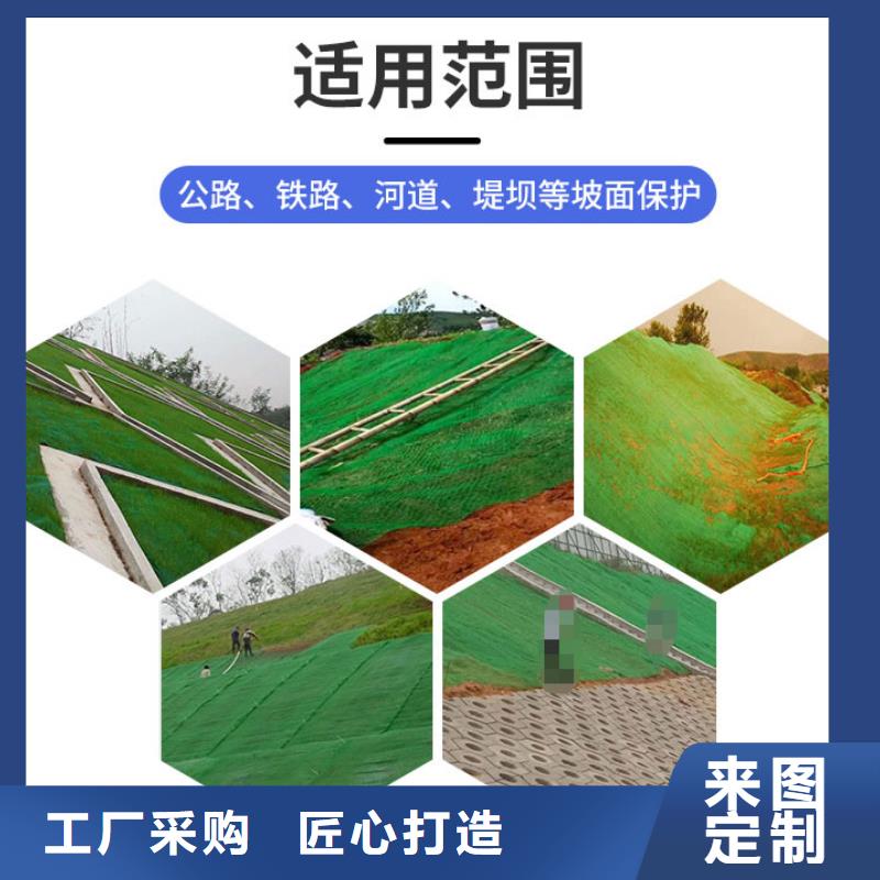 三維植被網_無紡布注重細節