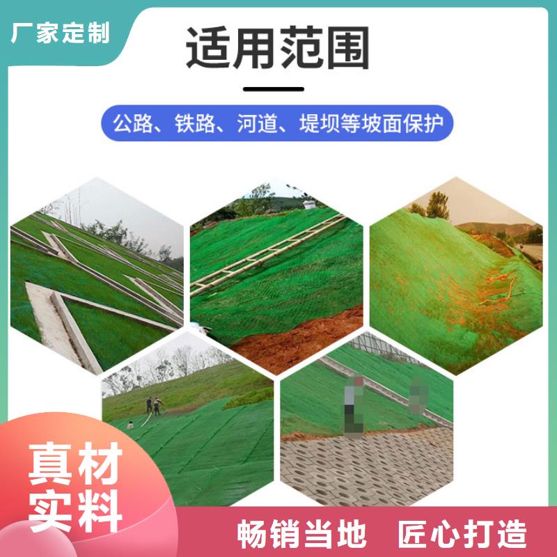 三維植被網(wǎng)_無紡布注重細(xì)節(jié)