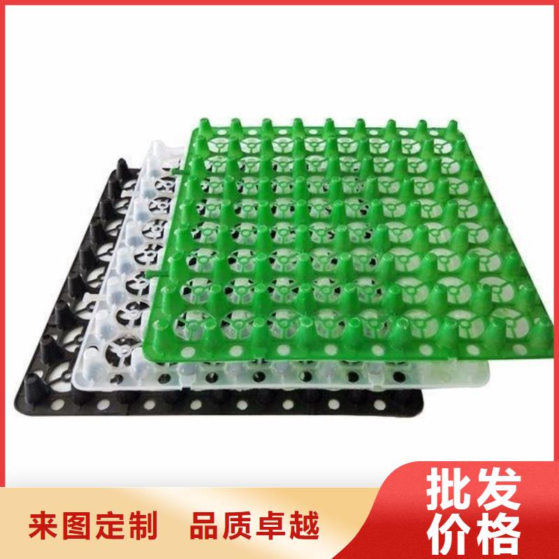塑料排水板三維土工網(wǎng)墊一個(gè)起售